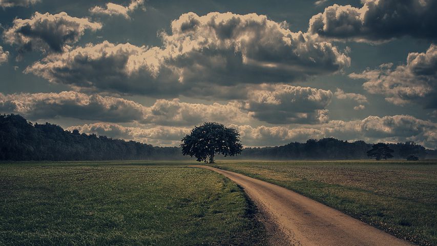 Decydując się na wakacje nad naszym morzem – sprawdź akcesoria kempingowe